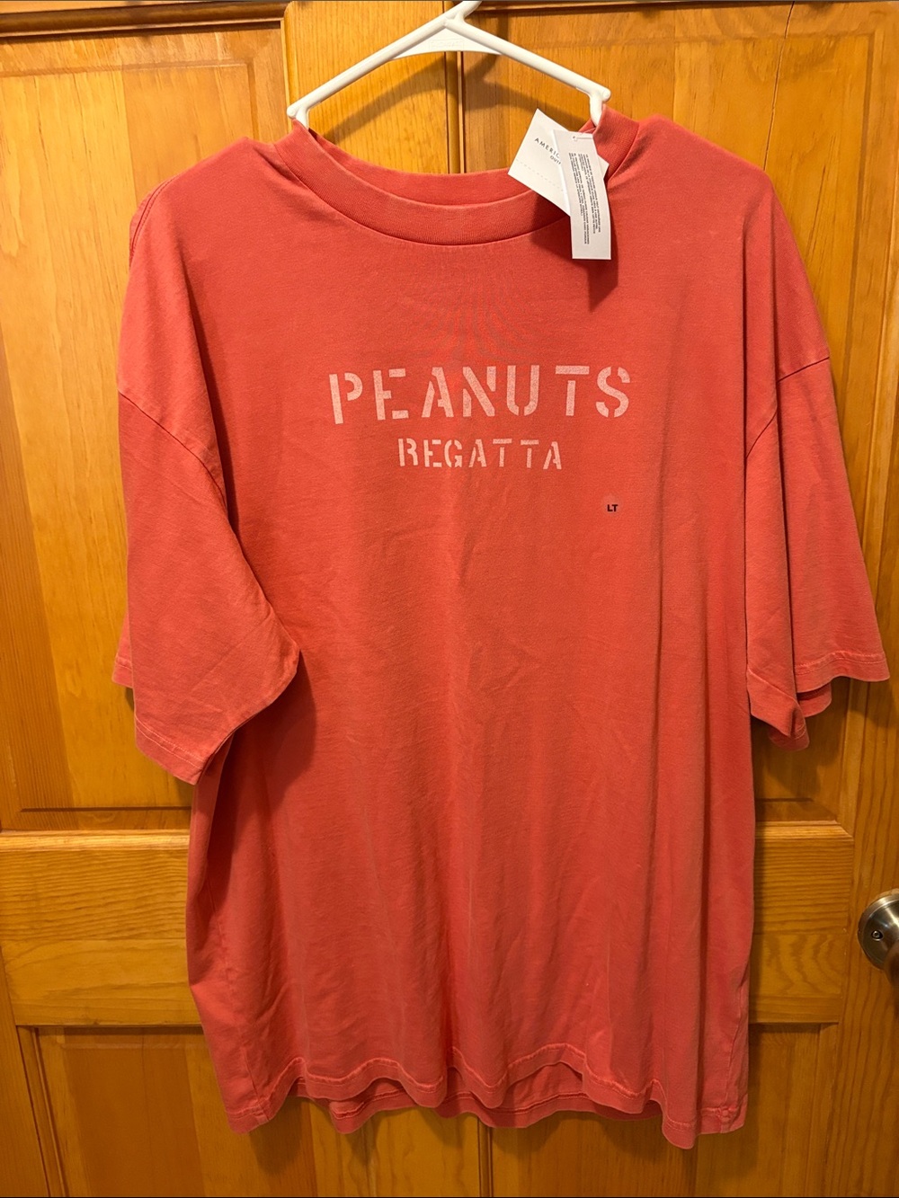 American Eagle Outfitters Peanuts Regatta Graphic Tee